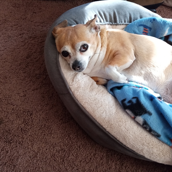 Meet your Posher, Jeanette - Picture 7 of 7